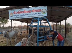 WhatsApp Image 2022-12-28 at 12.45.55 PM