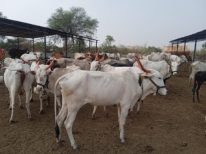 WhatsApp Image 2022-12-28 at 12.50.56 PM