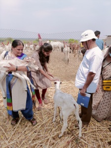 WhatsApp Image 2022-12-28 at 4.43.38 PM (1)