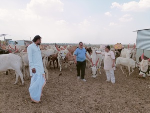 WhatsApp Image 2022-12-28 at 4.43.47 PM